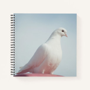 Carnet Colombe blanche mignonne Pigeon Symbole d'amour et
