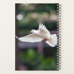 Carnet Colombe Blanche Mignonne Symbole d'Amour et de Pai