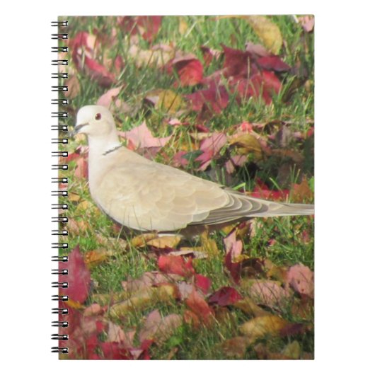 Carnet colombe d'automne (Devant)