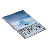 Carnet Colonie de l'empereur Penguin (Côté Droit)