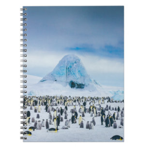 Carnet Colonie de l'empereur Penguin