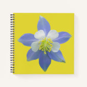 Carnet Colonne 2 (Devant)