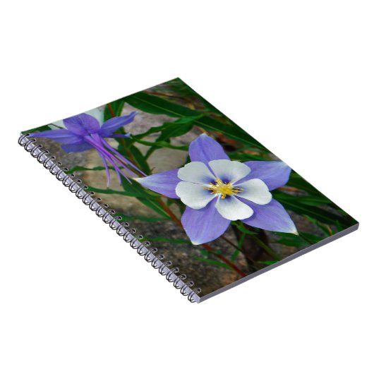 Carnet Colonne bleue (Côté Droit)