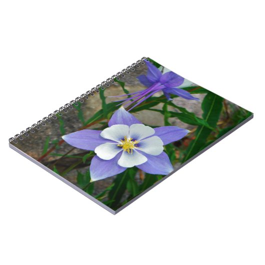 Carnet Colonne bleue (Côté gauche)