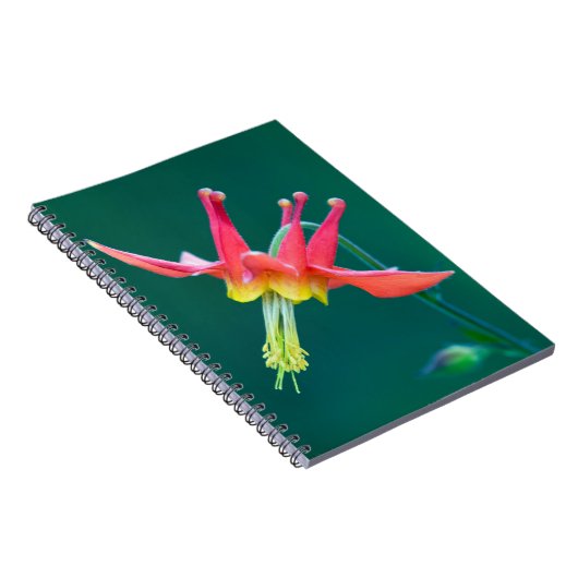 Carnet Colonne rouge (Côté Droit)