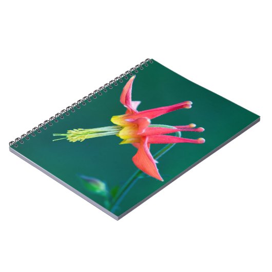 Carnet Colonne rouge (Côté gauche)