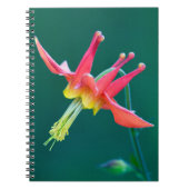 Carnet Colonne rouge (Devant)