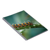 Carnet coloré Caterpillar Dew (Côté Droit)