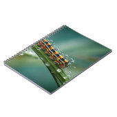 Carnet coloré Caterpillar Dew (Côté gauche)