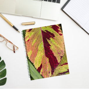 Carnet Coloré Coleus Plante feuille Floral