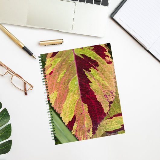 Carnet Coloré Coleus Plante feuille Floral