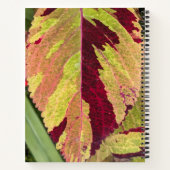 Carnet Coloré Coleus Plante feuille Floral (Dos)