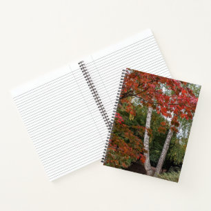Carnet Colorful Autumn Leaves Photo