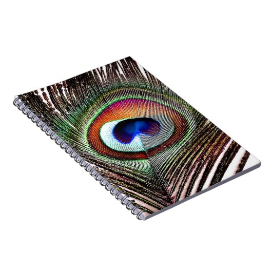 Carnet Colorful Copper Peacock Feather (Côté Droit)