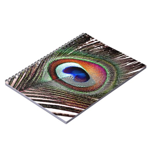 Carnet Colorful Copper Peacock Feather (Côté gauche)