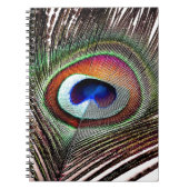 Carnet Colorful Copper Peacock Feather (Devant)