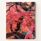 Carnet Colorful Laceleaf Japanese Maple Tree (Dos)