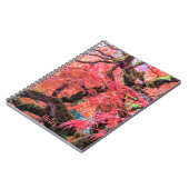 Carnet Colorful Laceleaf Japanese Maple Tree (Côté gauche)