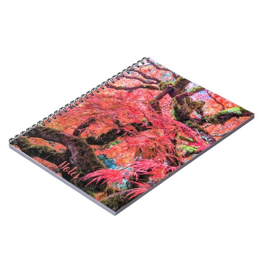 Carnet Colorful Laceleaf Japanese Maple Tree (Côté gauche)