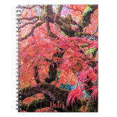 Carnet Colorful Laceleaf Japanese Maple Tree (Devant)