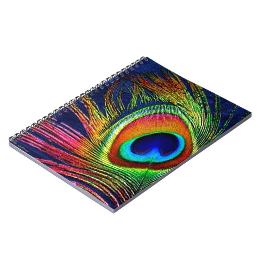 Carnet Colorful Peacock Feather (Côté gauche)