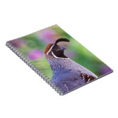 Carnet Colorful quail (Côté Droit)