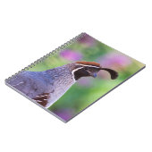 Carnet Colorful quail (Côté gauche)