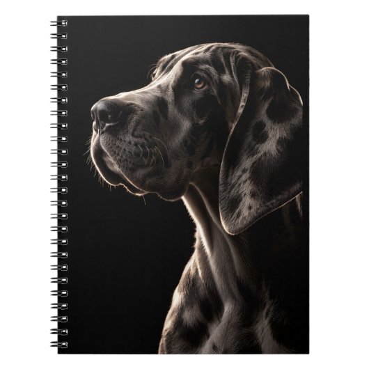 Carnet Colosse Gentil (Devant)