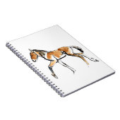 Carnet Colt (Côté Droit)