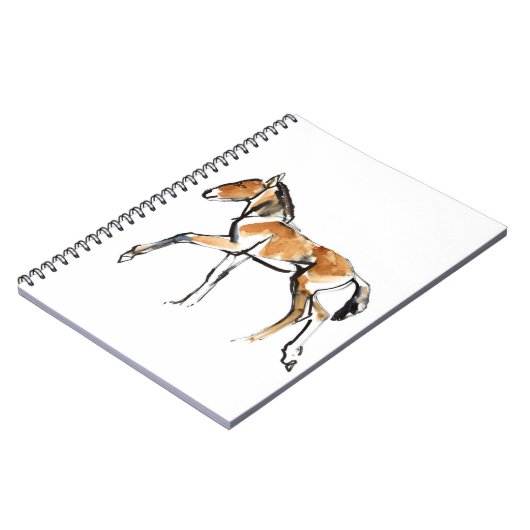 Carnet Colt (Côté gauche)