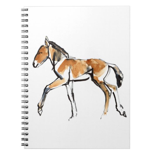 Carnet Colt (Devant)