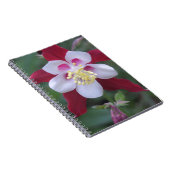 Carnet Columbine (Côté Droit)