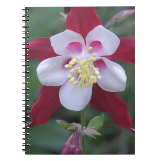 Carnet Columbine (Devant)