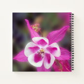 Carnet Columbine Flower Trouver Joie Simple Beauté De La (Dos)