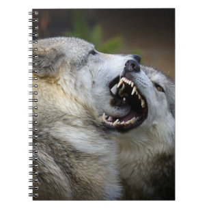 Carnet Combat de loup