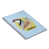 Carnet Combo de perdrix de Chukar (Côté Droit)