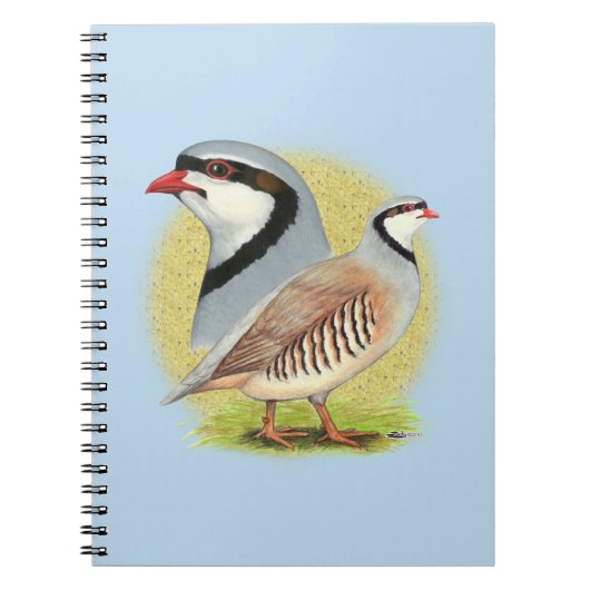 Carnet Combo de perdrix de Chukar (Devant)