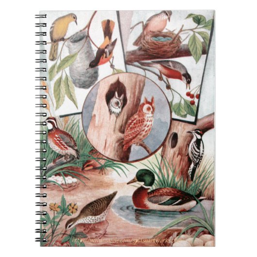 Carnet "Combo d'oiseaux" (Devant)