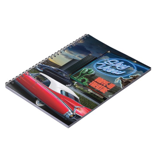 Carnet Commande de Skyview dedans (Côté gauche)