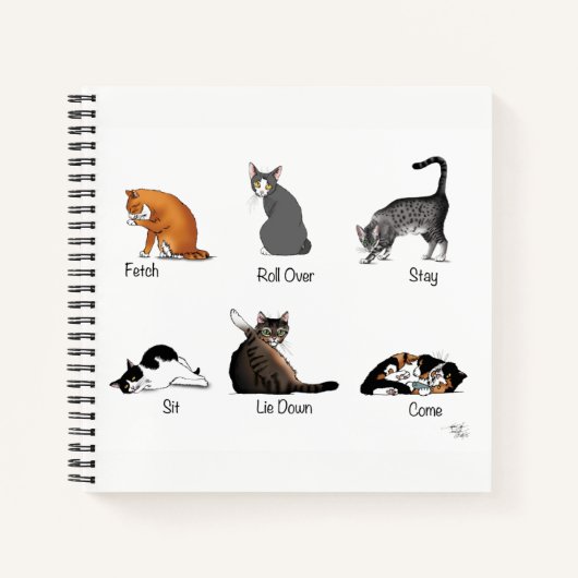 Carnet Commandes Cat (Devant)