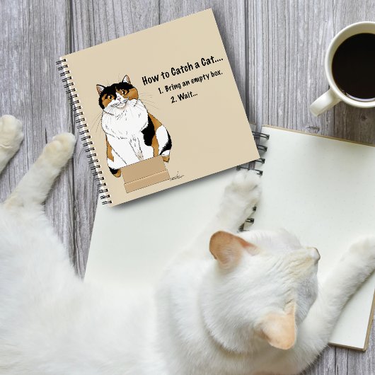 Carnet Comment attraper un chat