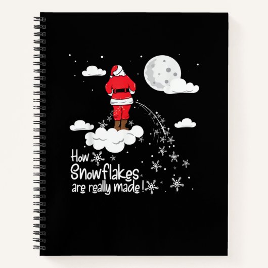 Carnet Comment les flocons de neige sont vraiment faits D (Devant)