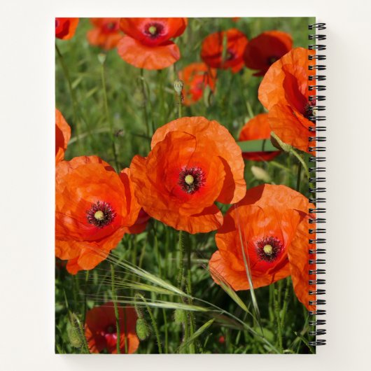 Carnet Common Poppies (Dos)