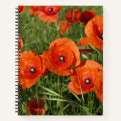 Carnet Common Poppies (Devant)