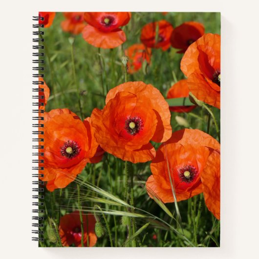 Carnet Common Poppies  (Devant)