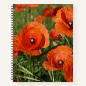 Carnet Common Poppies  (Devant)