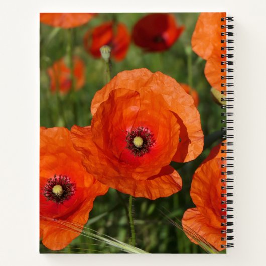 Carnet Common Poppies (Dos)