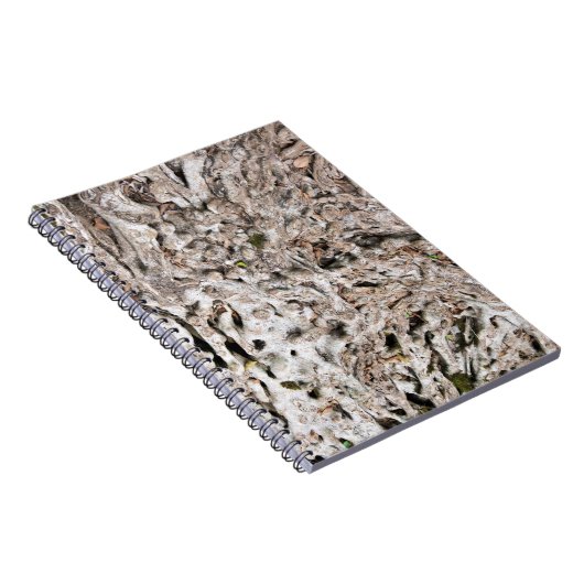 Carnet Composition en racine d'arbre (Côté Droit)