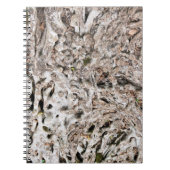 Carnet Composition en racine d'arbre (Devant)