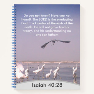Carnet Compréhension divine insondable : Ésaïe 40:28